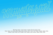 BrillScript Font, a Script Font by Brainware Graphic (Thumbnail 6 of 7)