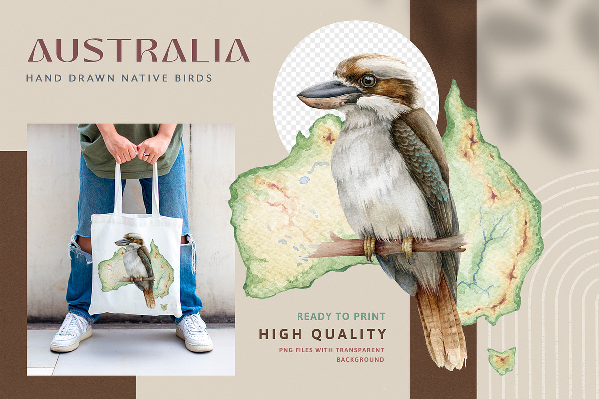 Australia Flora Fauna Clipart, an Animal Illustration by AnitaPol (Photo 6 of 27)