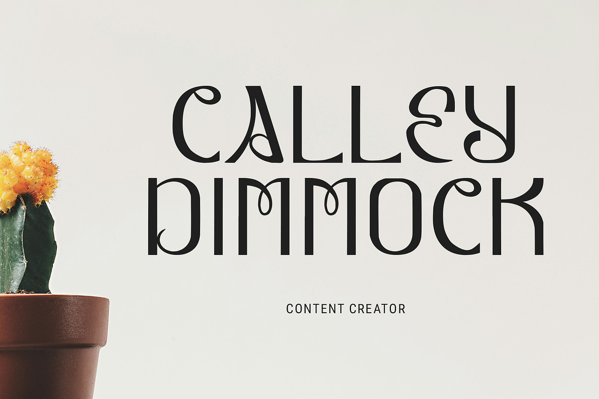 Lynoile Sans Serif Display Font, a Font by Maulana Creative (Photo 5 of 7)
