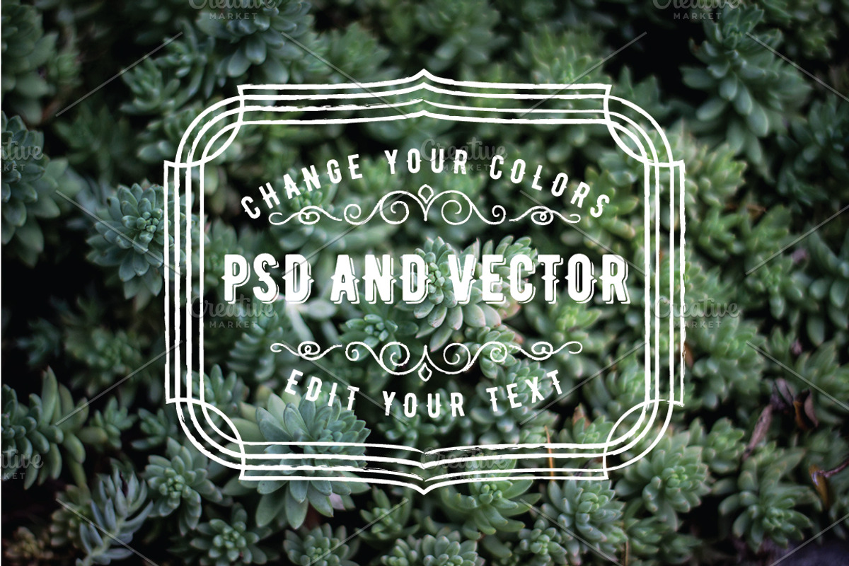 PSD Overlays Labels, Frames, Banners, an Object Graphic by BirDIY Design