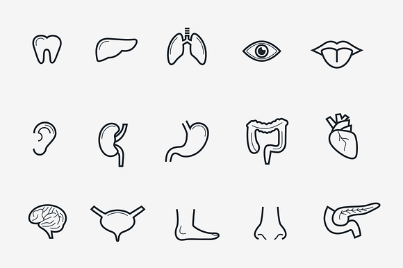 15 Human Organs preview 4