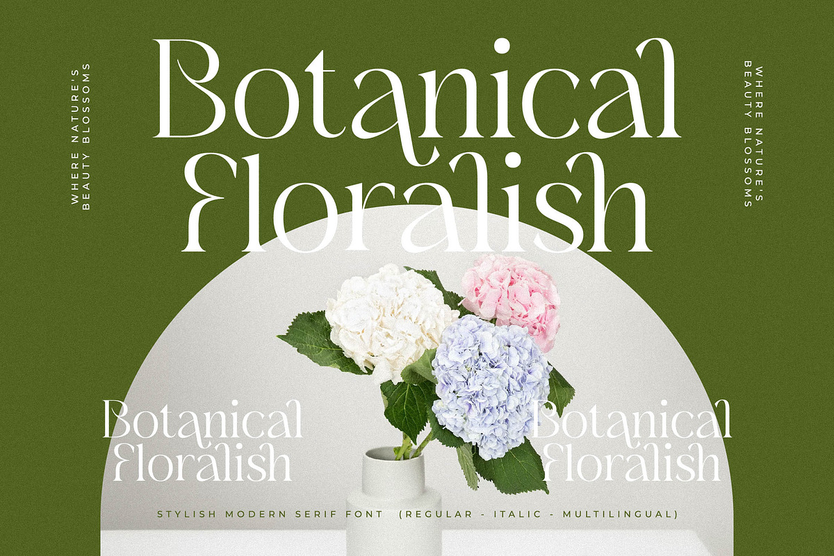 Blanvad Stylish Modern Serif, a Serif Font by Storytype Studio (Photo 5 of 15)