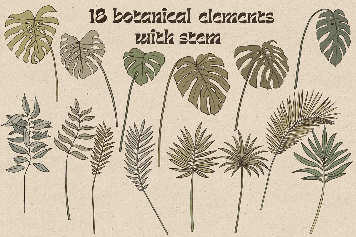 Retro botanical and landscape, a Decorative Illustration by marie dricot (Photo 3 of 13)