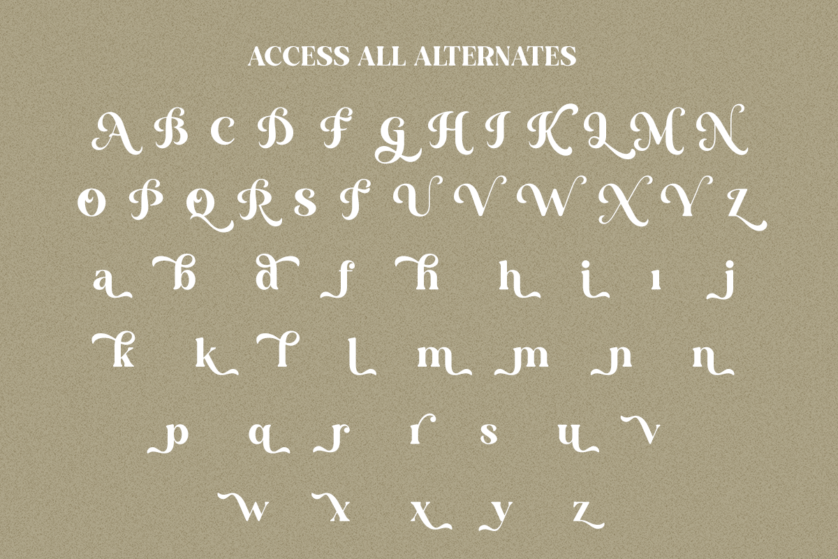 Ansilent - Modern Serif Font, a Serif Font by RagamKata (Photo 10 of 10)