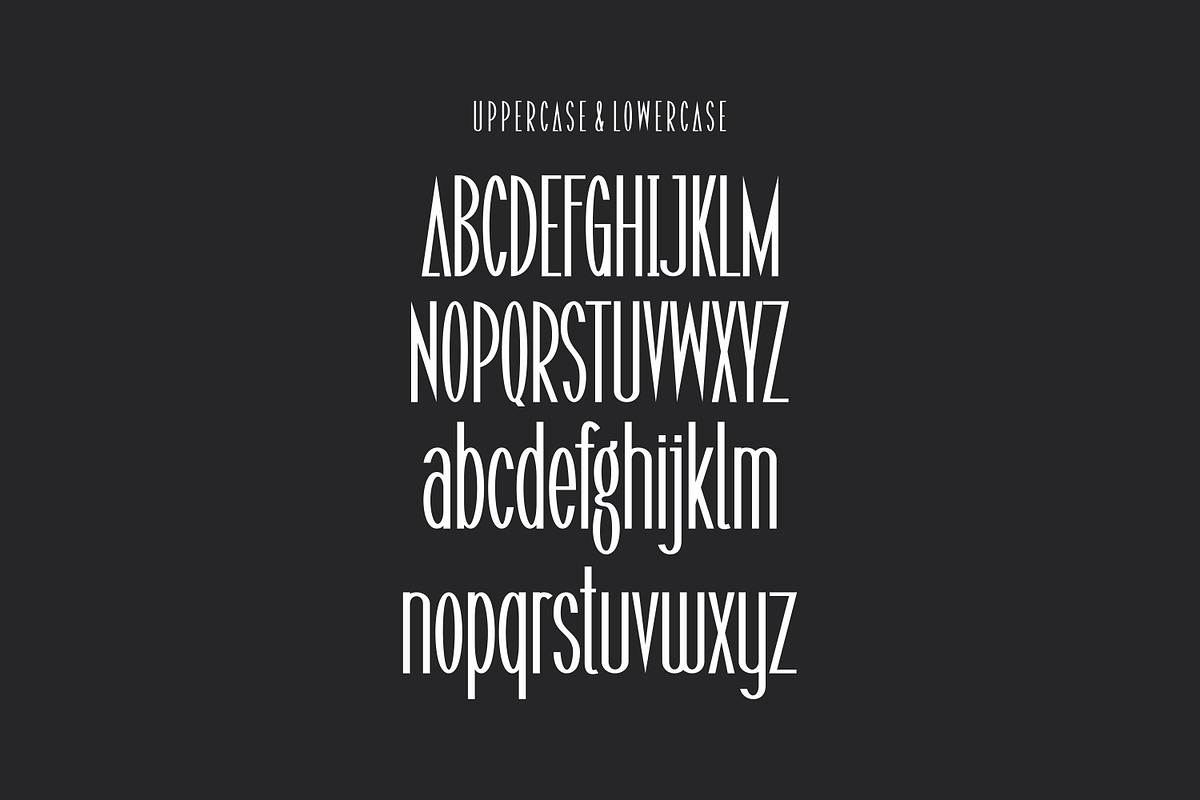 Dagumo, a Sans Serif Font by lelevien (Photo 3 of 5)