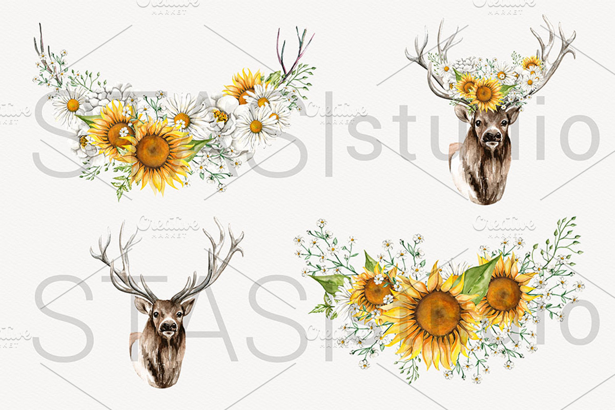 Woodland Deer Watercolor Clipart, a Decorative Illustration by STASIstudio (Photo 2 of 3)