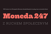 Hernández Niu, a Slab Serif Font by Latinotype (Thumbnail 11 of 17)