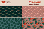 Tropical Wildlife Collection, a Decorative Illustration by moja doodle (Thumbnail 5 of 8)