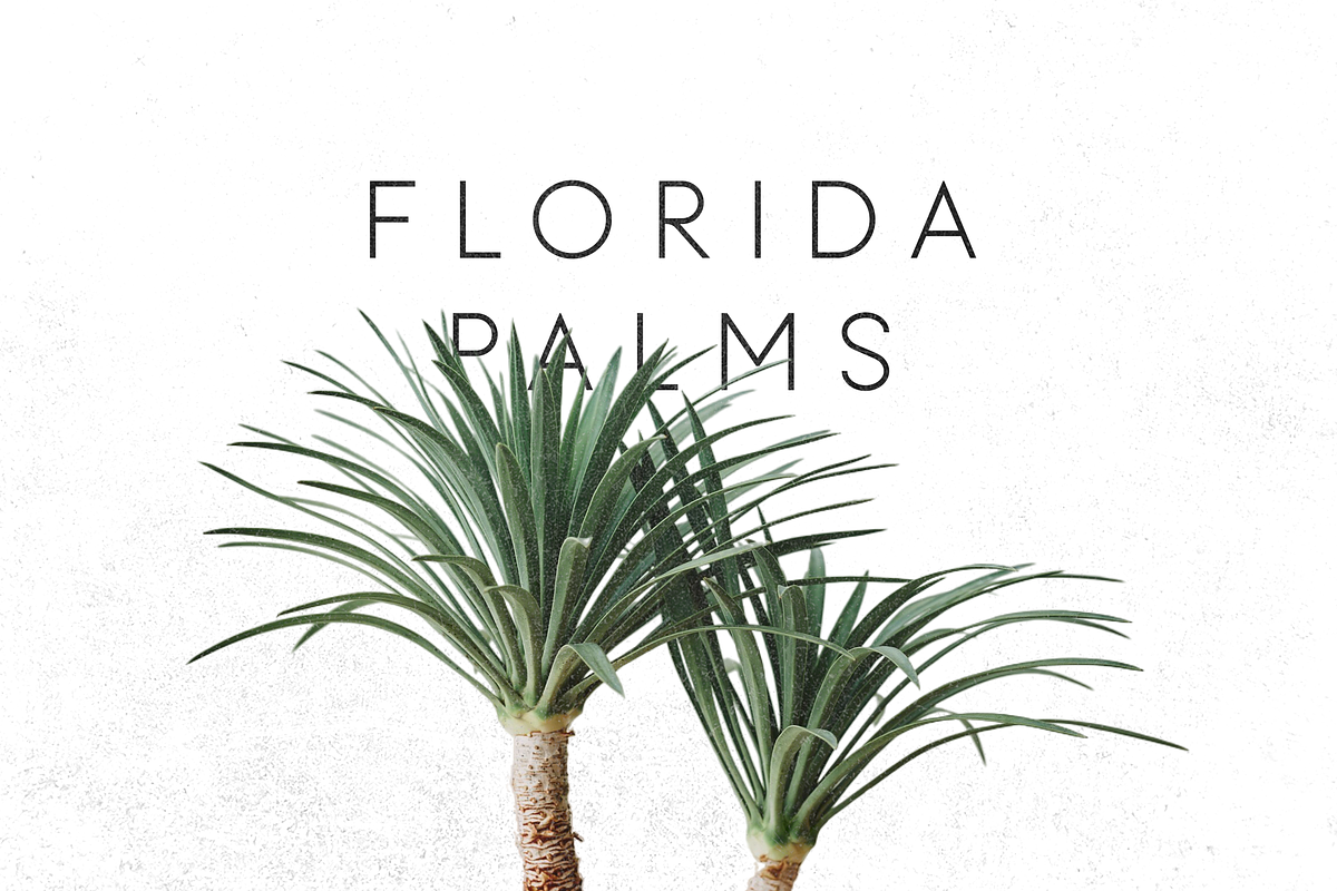 Cult VP Typeface - 20 fonts, a Sans Serif Font by VP Fonts (Photo 6 of 17)