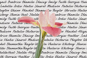 Casbery Script Font, a Handwritten Font by RantautypeStudio (Thumbnail 9 of 15)