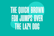 Quarner - Modern Condensed Sans, a Sans Serif Font by TypeLogue (Thumbnail 2 of 5)