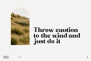 Zephyre Conquer, a Serif Font by Aluyeah Studio (Thumbnail 9 of 15)