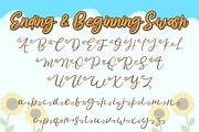 Sun Pride, a Script Font by Attype (Thumbnail 8 of 9)