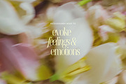 Soft Floral Spring Blur Backgrounds, a Background Graphic by eclosque (Thumbnail 8 of 48)