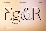 Rocen VF - Variable Display Serif, a Serif Font by Sign Studio (Thumbnail 15 of 16)