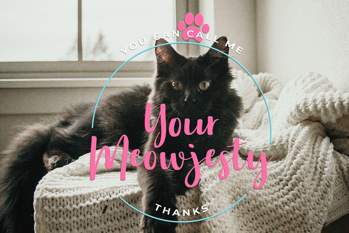 Aloha Miaw Script Font preview 4