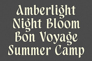 Aspenleigh Decorative Serif Font, a Serif Font by Heinzel Std (Thumbnail 11 of 15)