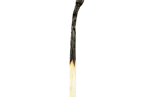 Burnt charred match isolated on a white background. Burnout concept., an Abstract Photo by Eugene_Photo