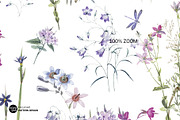 Delicate Flowers Pattern Design, a Pattern Graphic by VOVU Studio (Thumbnail 2 of 10)