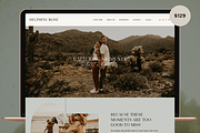 Delphine - With Free Elementor, a WordPress Template by Pix & Hue (Thumbnail 1 of 3)