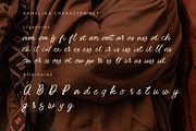 Kamelina Handwritting, a Script Font by Olexstudio (Thumbnail 6 of 7)