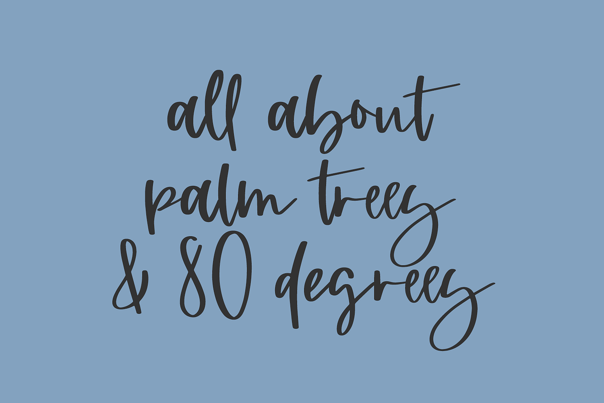Tallahassee Script, a Script Font by Beck McCormick (Photo 4 of 10)
