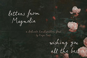 Letters from Magnolia Script Font, a Handwritten Font by Kaya Fonts (Thumbnail 4 of 32)