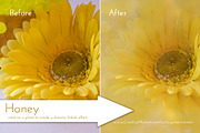 Texture Confections, a Texture Graphic by Cindy Garber Iverson (Thumbnail 5 of 5)