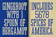 Vertylab, a Slab Serif Font by graphicook (Thumbnail 9 of 10)