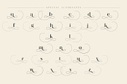 Lostgun Plus | Stylish Typeface, a Serif Font by Qaratype (Thumbnail 19 of 20)
