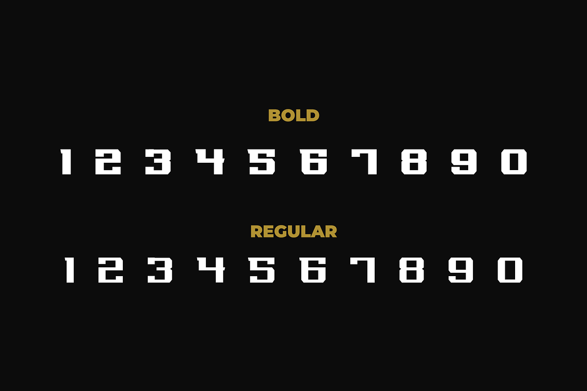 REGUILON Sport Displat Font preview 3