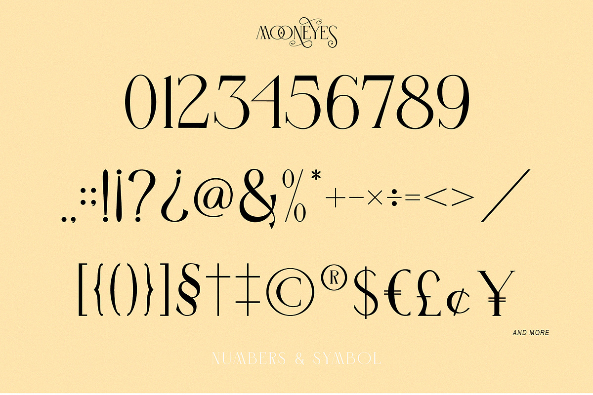 MOONEYES - Modern Serif, a Serif Font by erlosDESIGN (Photo 12 of 15)