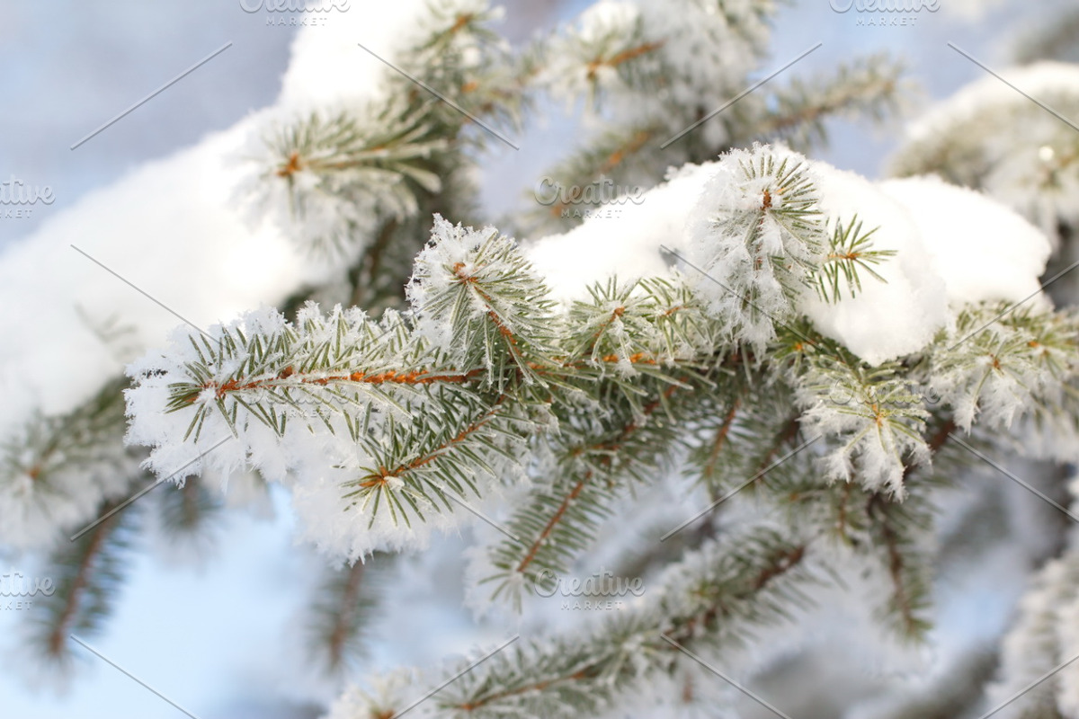 Cosy winter. Bundle of 14 images., a Background Photo by lisa870 (Photo 12 of 17)