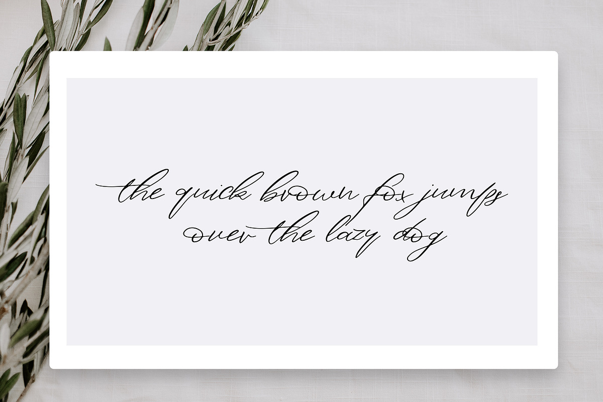 Magnolias Font preview 2