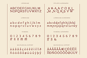 Modern Heritage Serif, a Serif Font by xdCreative (Thumbnail 7 of 12)