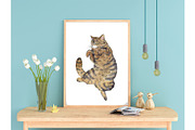 Watercolor Clipart, Cat Clipart, png, an Animal Illustration by KomtsyanTatyanaArt (Thumbnail 7 of 10)