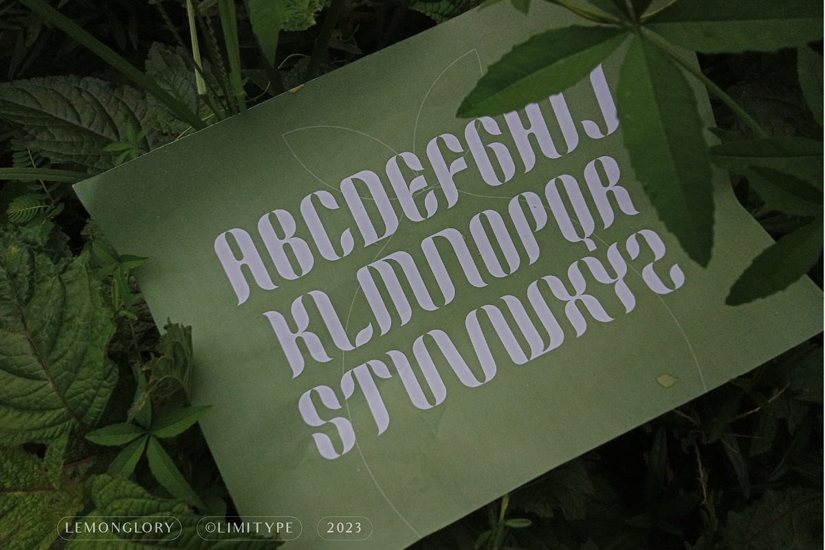 Lemon Glory - Flowers Font, a Script Font by limitype (Photo 16 of 20)
