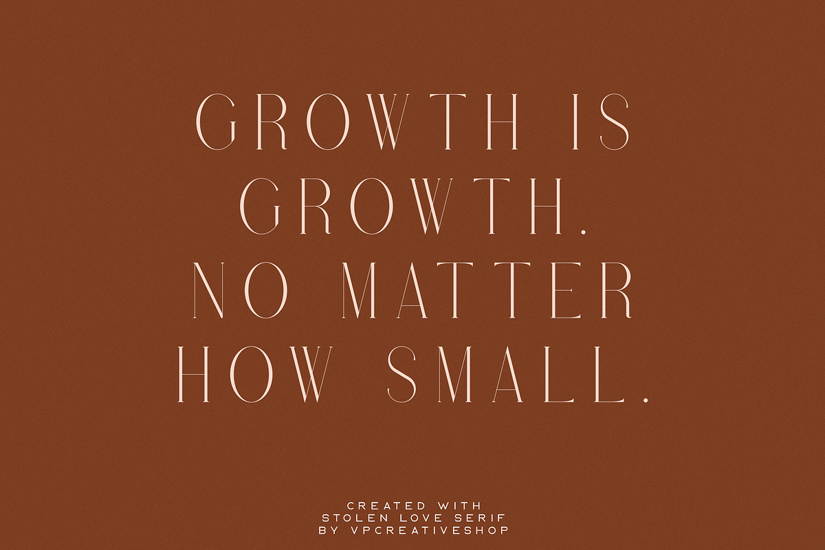 Stolen Love - Elegant serif typeface, a Serif Font by VP Fonts (Photo 15 of 34)