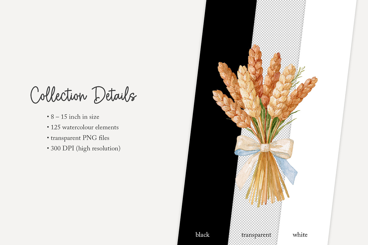 125 farmer's market clip art, a Food Illustration by Poppy Lane Studio (Photo 10 of 10)