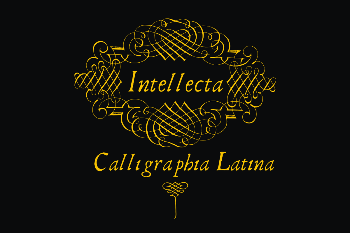 CalligraphiaLatina, ornaments