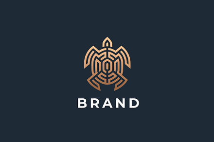 Turtle logo design.