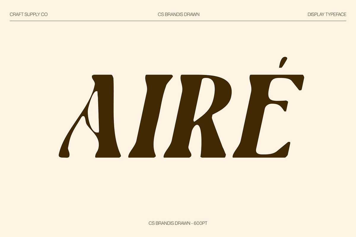 CS Brandis Drawn, a Serif Font by Craft Supply Co. (Photo 2 of 8)