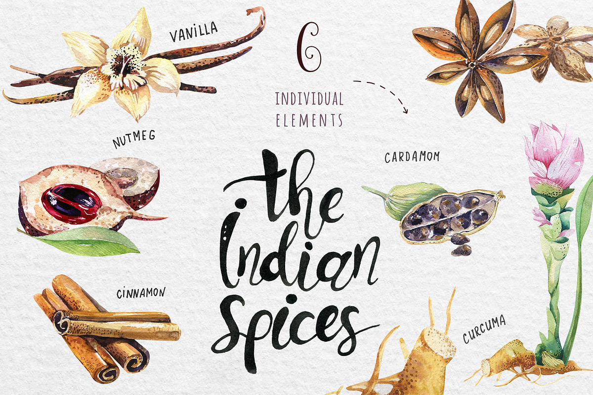 Watercolor Indian spices, an Object Graphic by Peace ART (Photo 2 of 2)