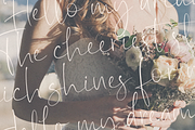 Melgard, a Script Font by Larin Type Co. (Thumbnail 6 of 11)