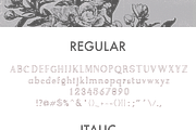 Bogota Handwritten Font, a Serif Font by Studio.lize (Thumbnail 4 of 7)