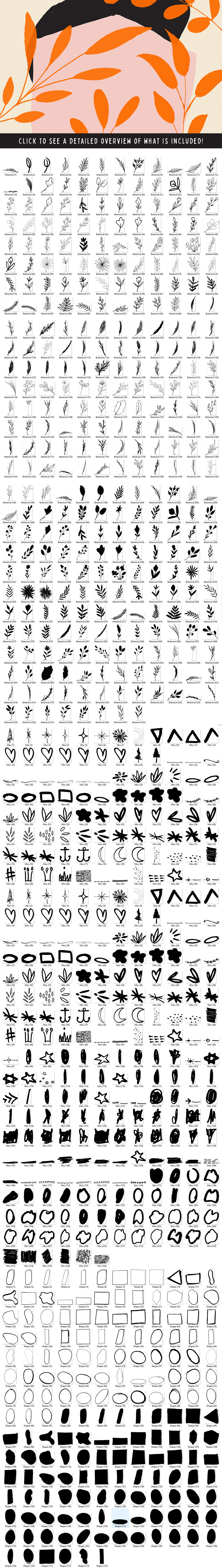 Doodlings - The Botanical Edition, an Object Graphic by Tom Chalky (Photo 15 of 16)