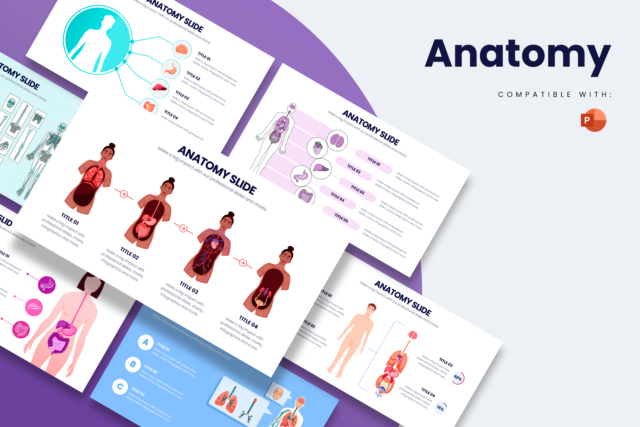 Anatomy Powerpoint Template Slides, a Presentation Template by Slidesmash