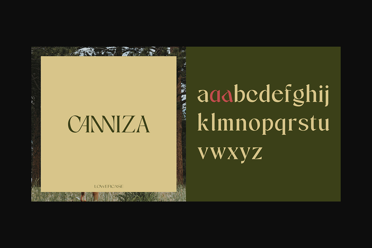 Canniza - Display Serif Font, a Serif Font by Prominent & Affluent (Photo 7 of 8)