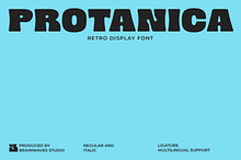 Protanica - Retro Display Font