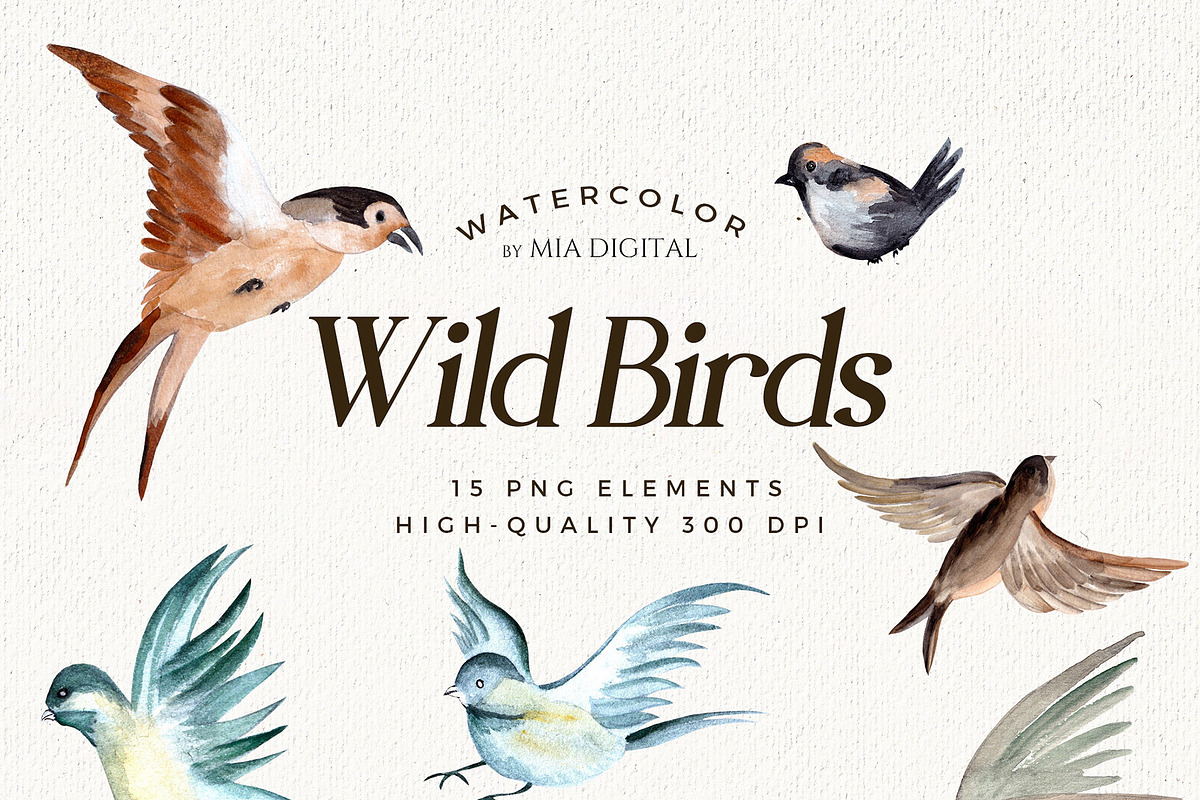 Watercolor Birds Clipart Set, an Animal Illustration by Mia Digital (Photo 3 of 5)